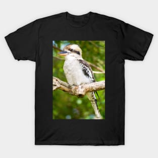 Laughing Kookaburra T-Shirt